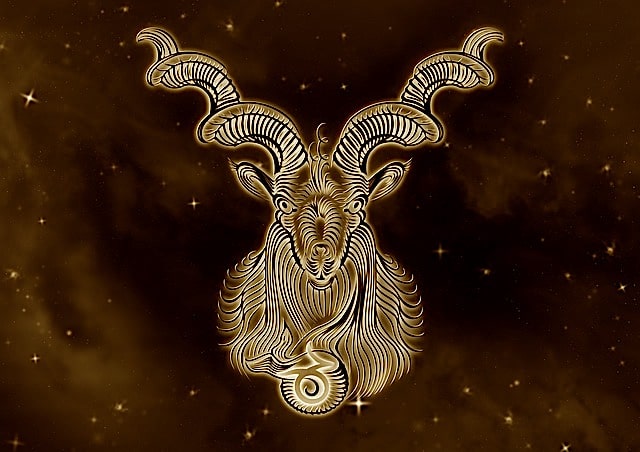 Zodiac sign Capricorn (Capricorn)